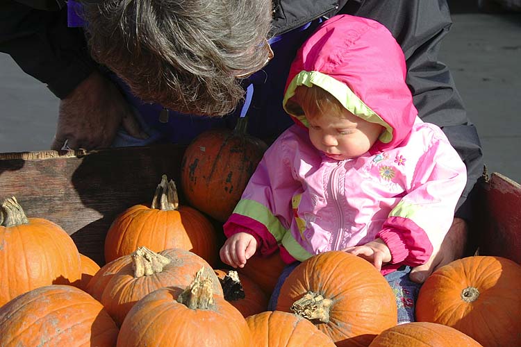 Looking at the Pumpkins