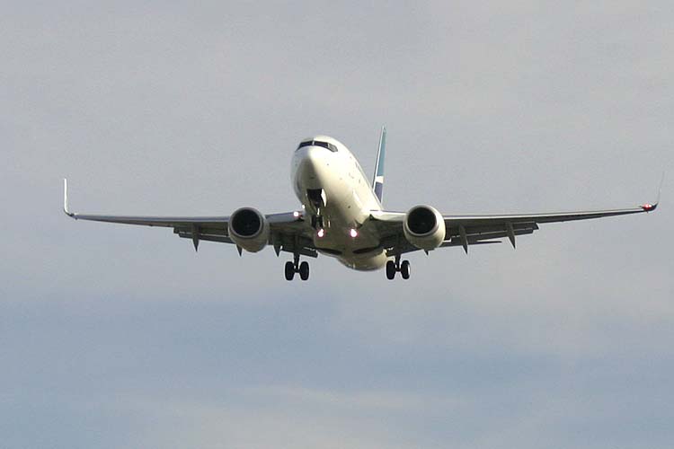 Coming In For A Landing