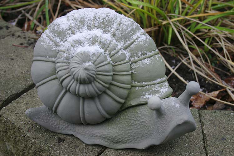 First Snow