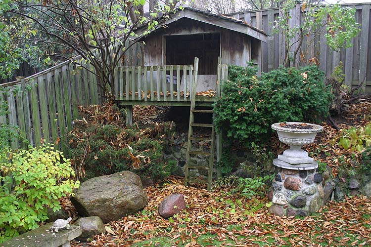 Backyard Blahs
