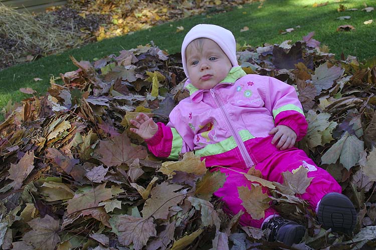 In The Leaves