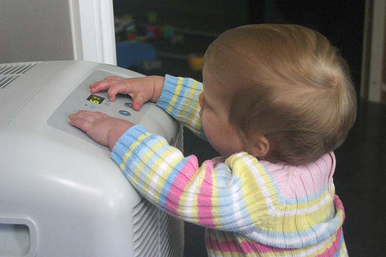 Adjusting the Settings on the Dehumidifier