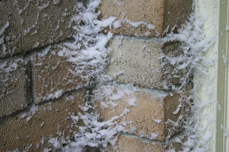 Frosty Cobwebs