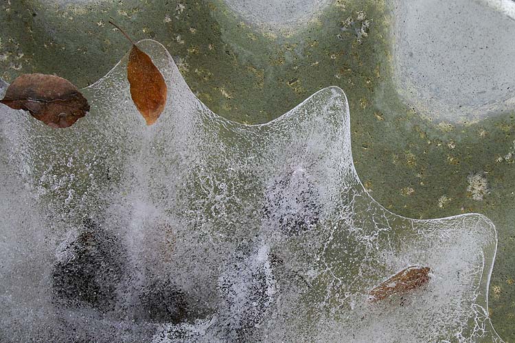 Ice Mold