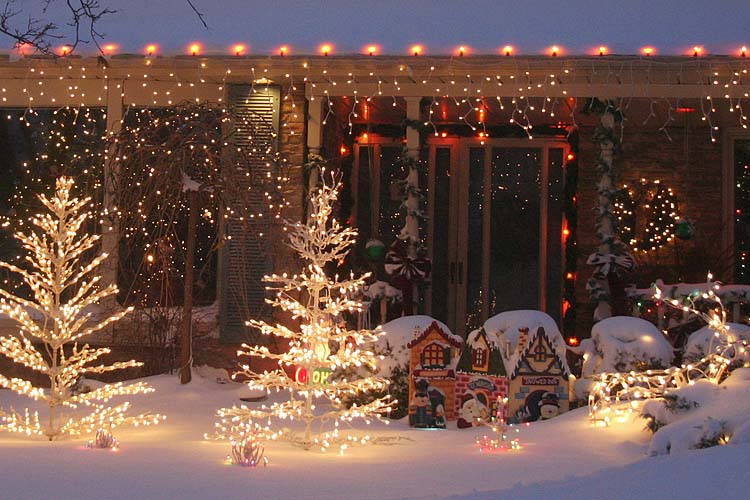 Snowy Sparkles