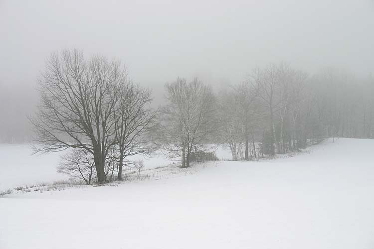 White-Out