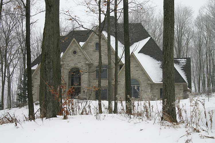 Castle In The Woods