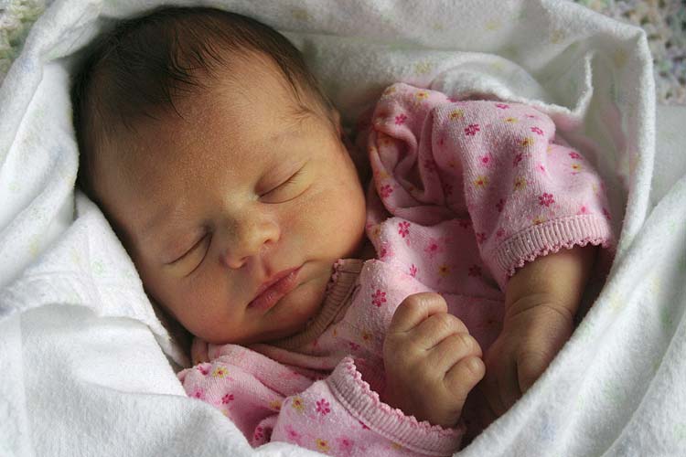 Five Days Old