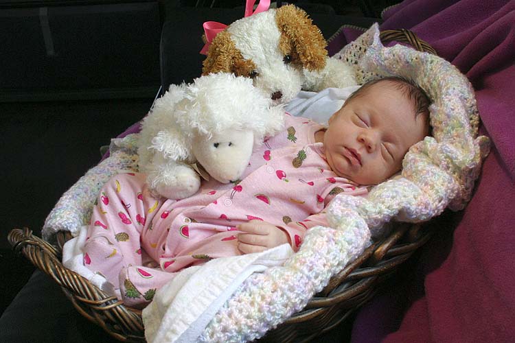 In The Basket