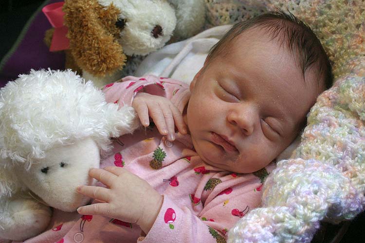 In Dreamland