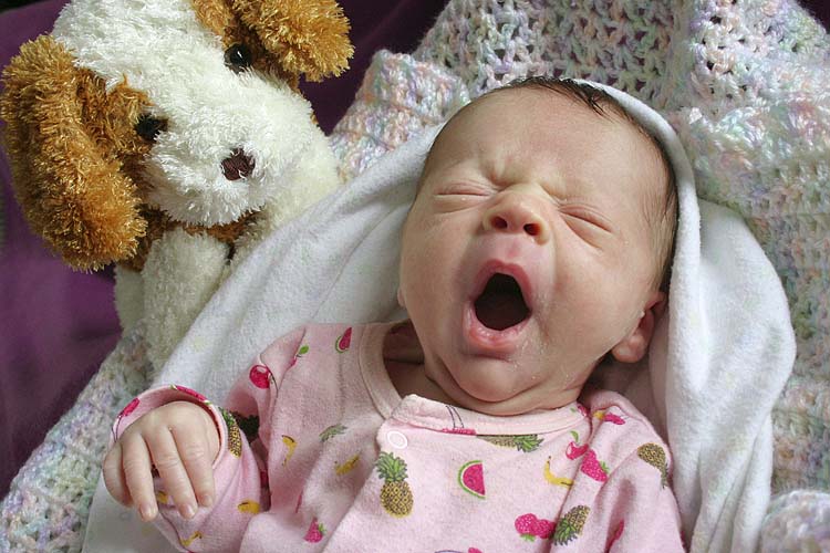 A Big Yawn!