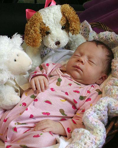 Baby In A Basket