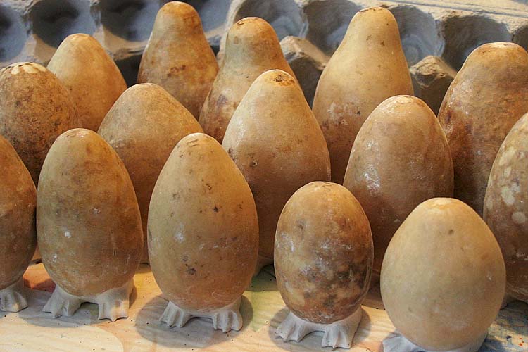 Egghead Army