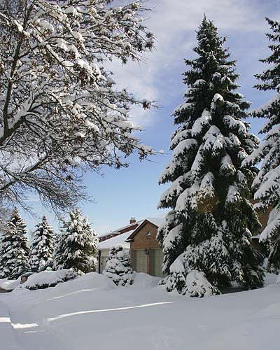 Winter Wonderland