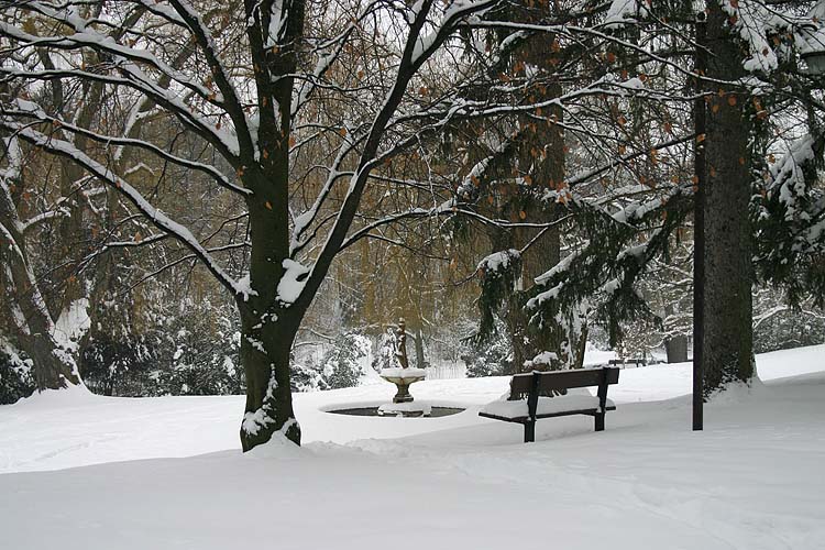 Silent Park