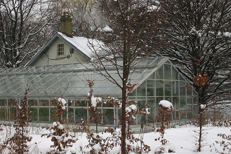 Greenhouse