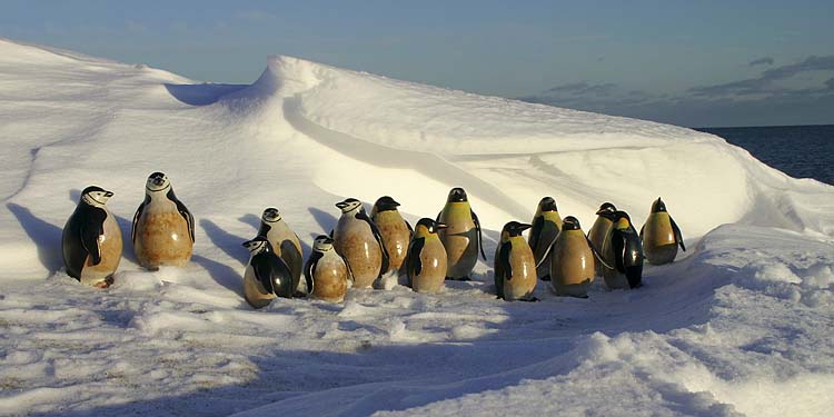 Antarctica