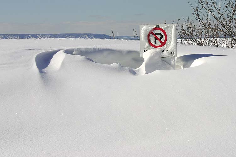 No Parking