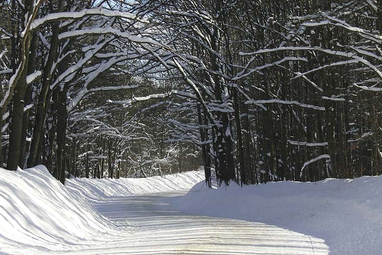 Snowy Arch