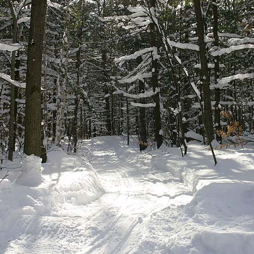 Snowmobile Trail