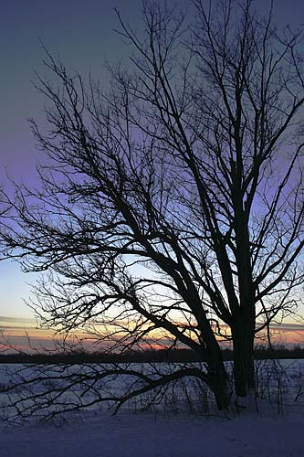 End of the Day