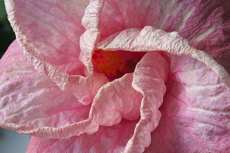 Unfolding
