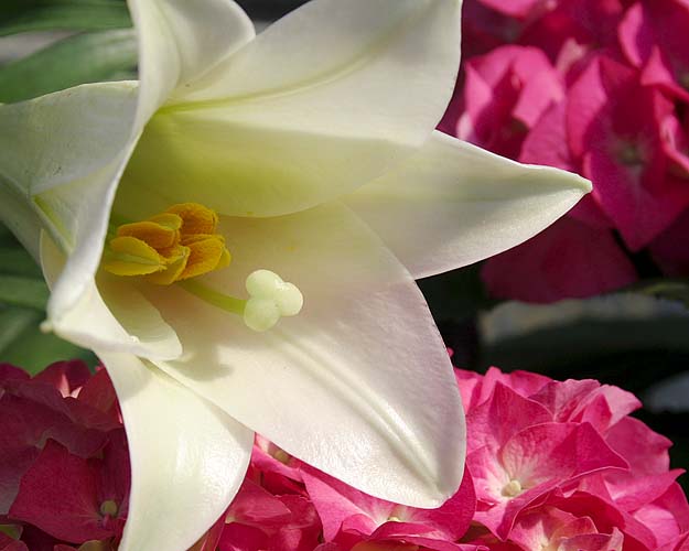 Happy Easter!