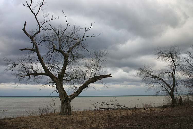 Stormy Skies