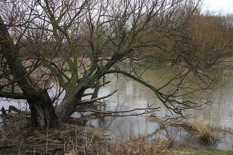 River In The Rain