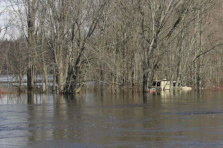 Water, Water Everywhere