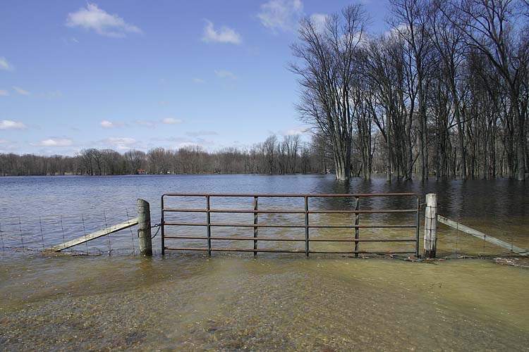 Flooded Fields