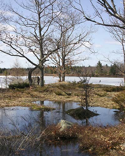 Torrence Barrens