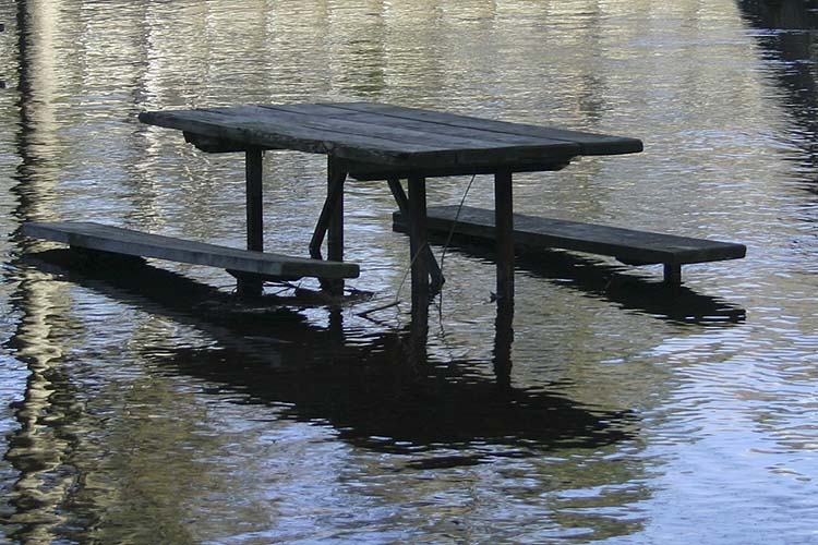 Picnic Anyone?