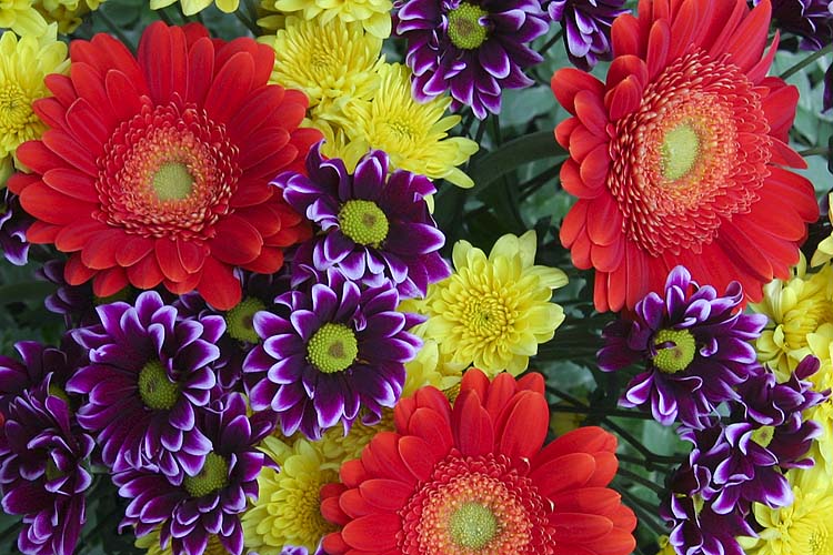 Another Birthday Bouquet