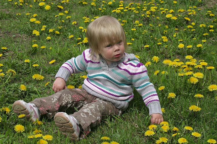 Rachel In The Dandelions