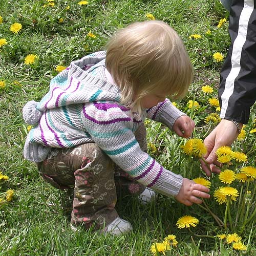 Let\'s Pick A Bouquet