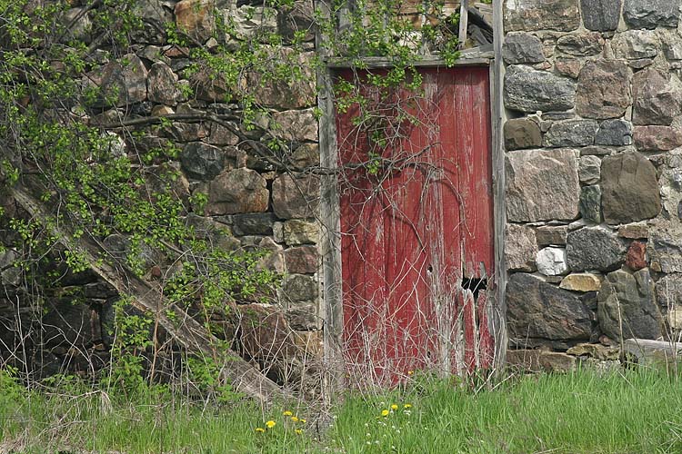 The Red Door