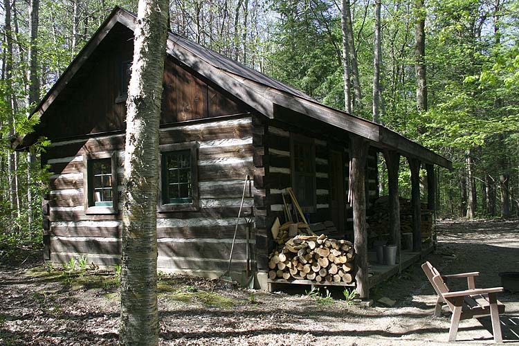 Hideaway In The Woods