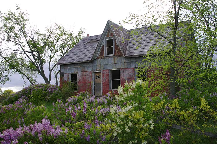Old Homestead