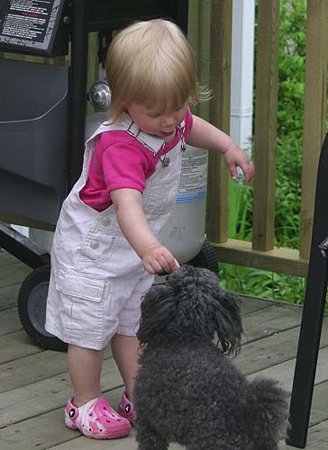 Another Doggie Treat