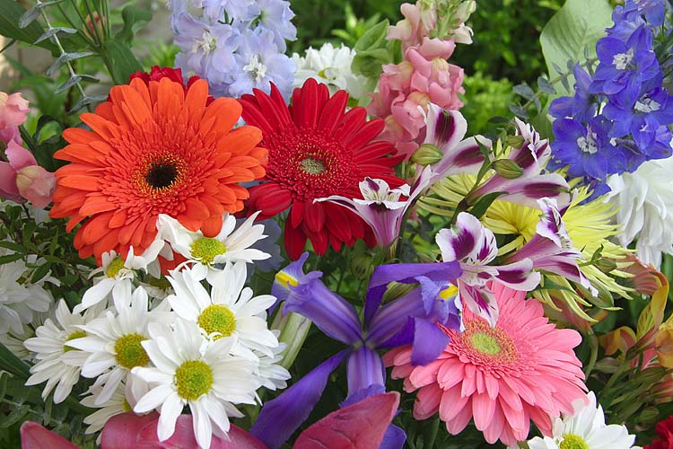 Flower Bouquet