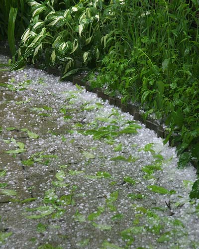 Ice-Covered Path