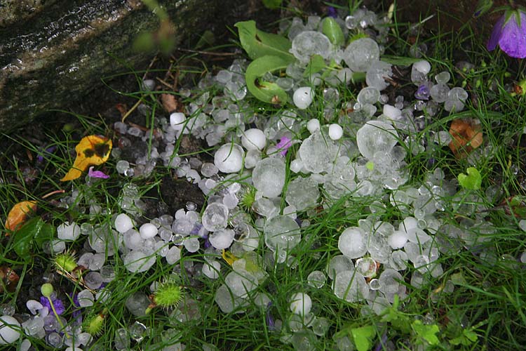 Hail & Debris