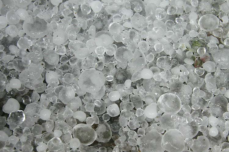 Ice Pellets