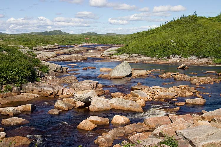 Dry Brook Pond