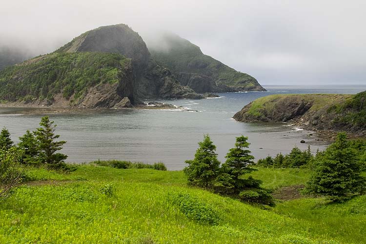 Bottle Cove