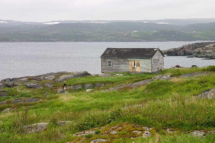 Goose Cove