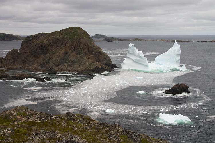 Iceberg