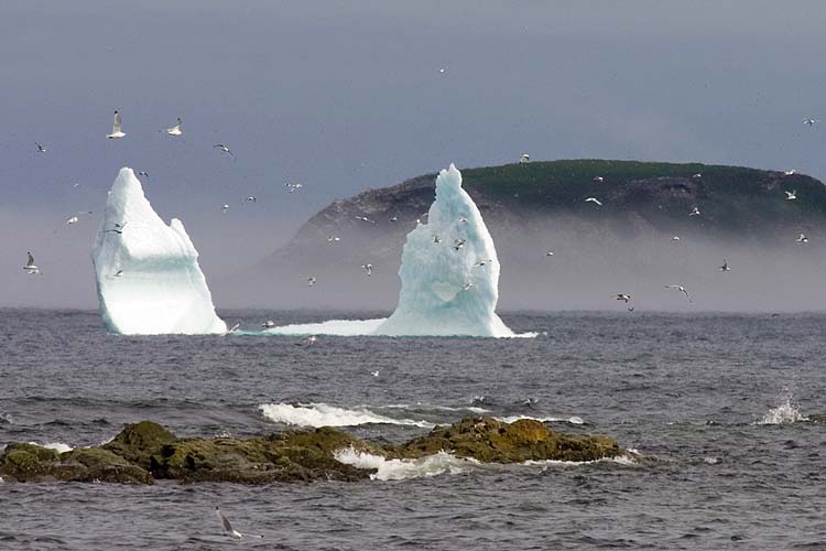 Another Iceberg