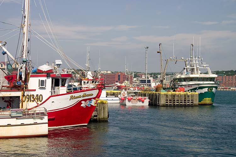 The Harbour
